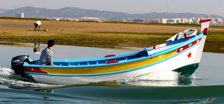 The Fishing Industry in Algarve The Fishing Industry in Algarve