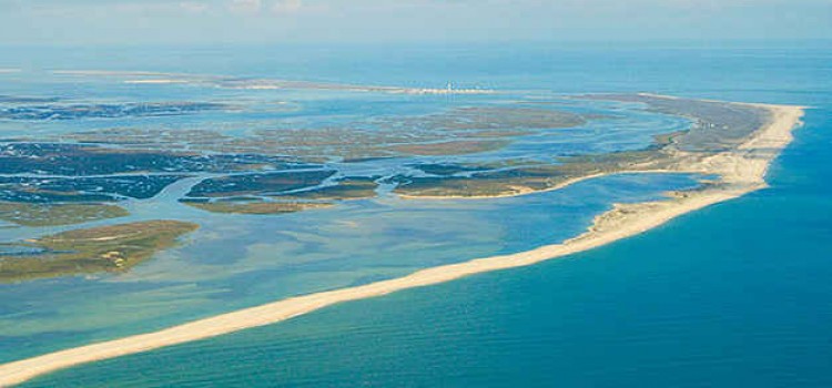 Ria Formosa Natural Park, Preserve Natural Habitats of Wildlife Ria Formosa Natural Park, Preserve Natural Habitats of Wildlife